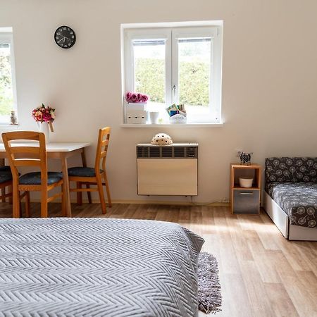 דירות דצ'ין Apartman Fraise מראה חיצוני תמונה
